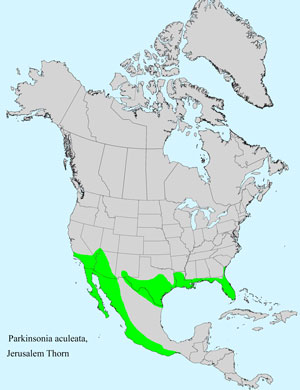 North America species range map for Parkinsonia aculeata: